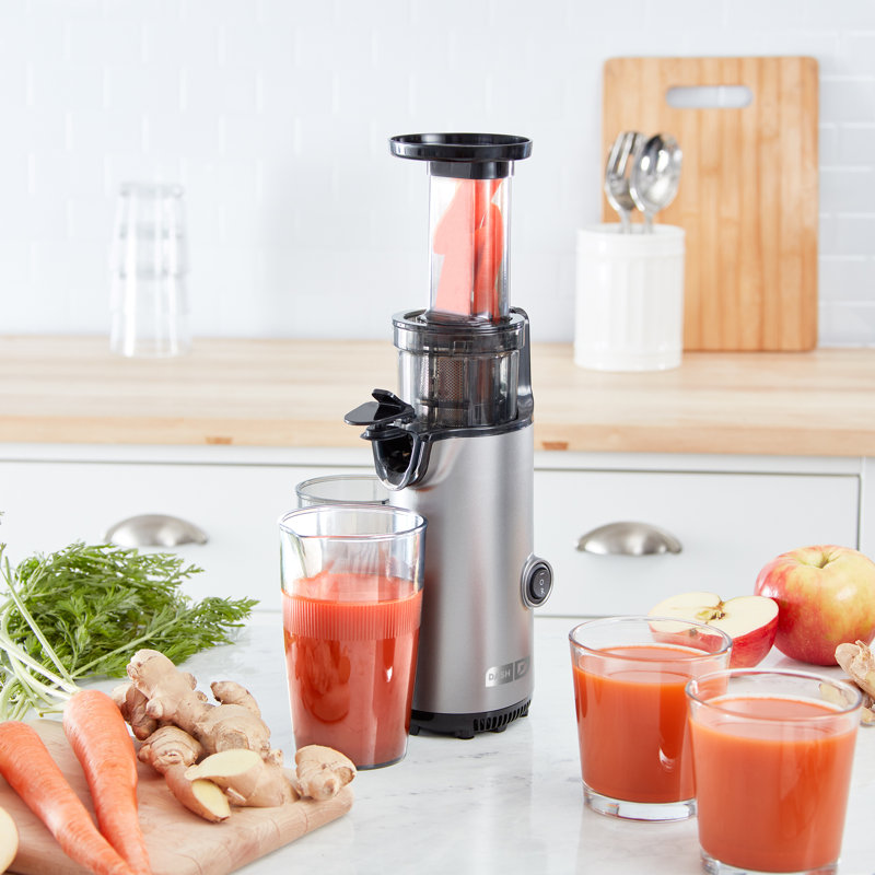 Dash Compact Cold Press Power Juicer & Reviews Wayfair